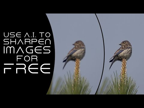 Sharpen Images with AI for FREE Using Open Source Alternatives to Topaz  AI and Lightroom.
