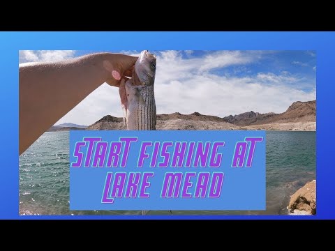 The Beginner's Guide for land fishing at Lake Mead!
