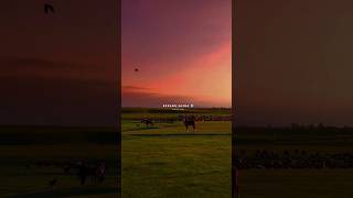 Malang Sajna 🩵✨Slowed -Reverb Song Aesthetic🕊️ StatusLove StatusNew SadStatus💙