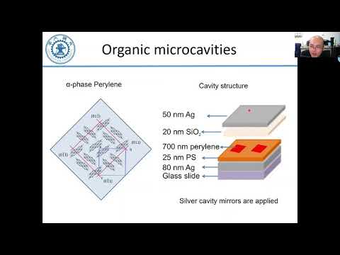 LI Feng, Direct measurement of Berry curvature and quantum metric tensor in an organic microcavity