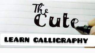 Calligraphy and hand lettering for beginners with normal pen|Sentence Calligraphy #youtubevideos