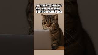 Why why 😂 #memes #cat #funny #coding #codingmeme #programmingmemes