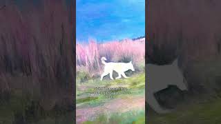 Feb 17  BLURJoin artist kristen brown art for today’s Opus Daily Practice prompt