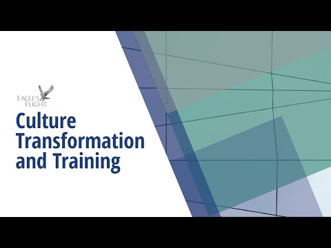 Culture Transformation and Training - Eagle's Flight