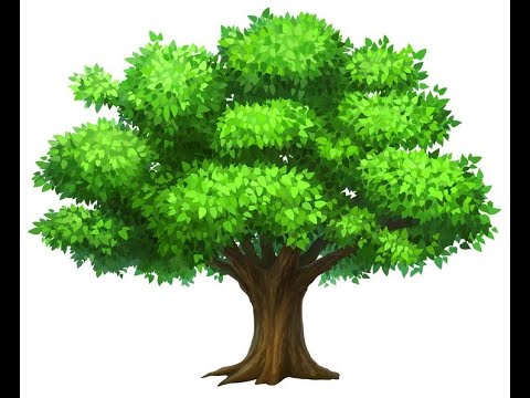 How to make a tree🌳 using turtle in Python | use recursive functions to draw a tree🌲