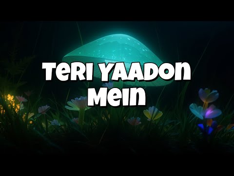 Teri Yaadon Mein || Official video                      #song