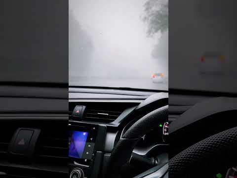 fogy drive