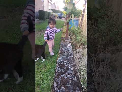 Alizay Plays With Cat #goesviral #cat #cute #children #animals #funnymoments #viral #trend #shorts