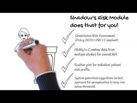 Shadow- Risk Analysis Tool