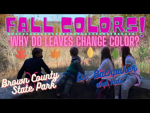 WHY DO LEAVES CHANGE COLOR?