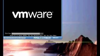 VMware Player