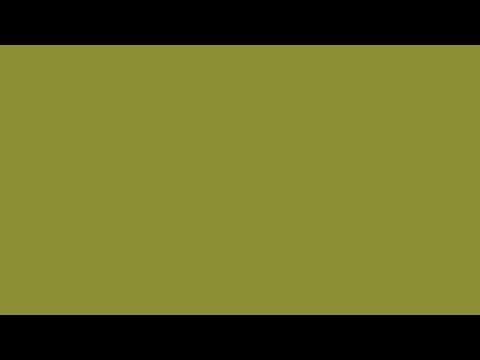 8E8E38
