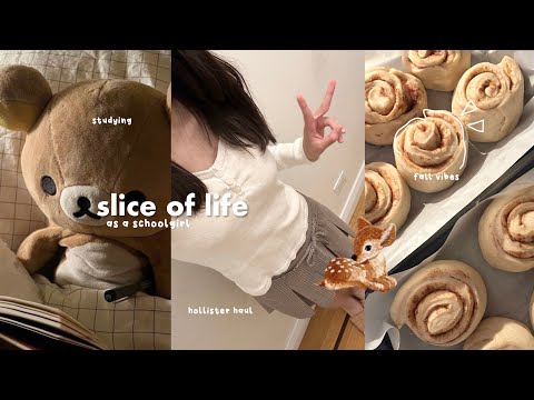 slice of life diaries: life as a schoolgirl, studying, learning to bake, hollister haul, fall vibes
