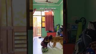 Watch till the end🤦🏻#relatable #3drender #blender #systemerror #3d