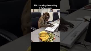 bro thinks he’s ready for Google interviews#coding #relatable #programming #bro #developer #shorts