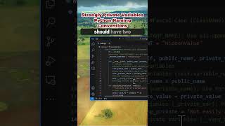 Strongly Private Variables   Python Variable Naming Conventions #softwaredevelopement #codelearning