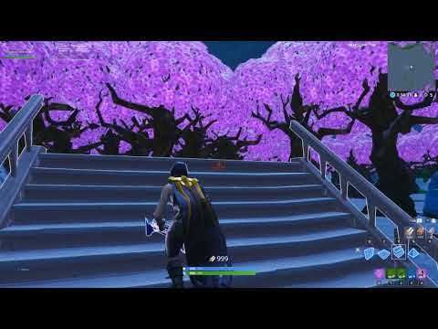 video 2