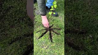 Farm Life Hack for Each and Every! #farming