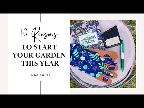 10 Reasons to Start Your Garden Today! | Easy Gardening Tips for Beginners