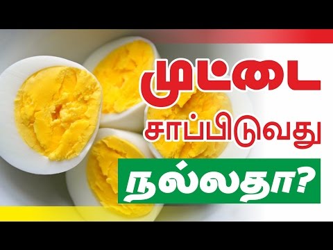 Health Tips in Tamil _ Good to eat eggs? _ முட்டை சாப்பிடுவது நல்லதா?