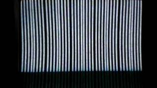 How to install Homebrew channel on wii  + Gecko + Codemanager