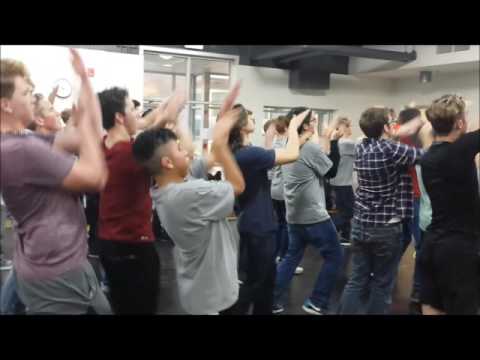 D4MO 2017 PM Session