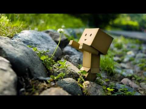 Apanas - Nature and Artificial Me