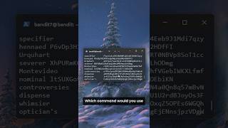 grep command vs find command #cybersecurity #hacker #hackingcourse #computersecurity