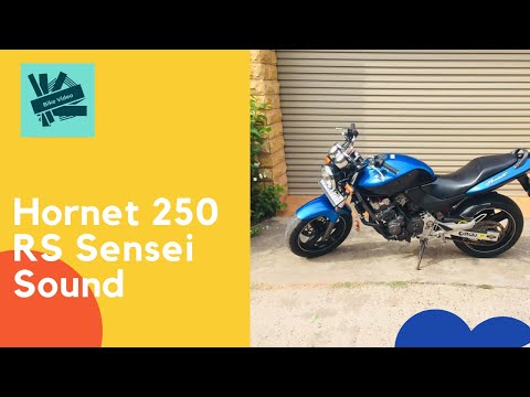 Honda Hornet 250 RS Silencer Sound