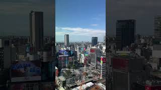 This part of Tokyo never sleeps 🇯🇵 #japan #tokyo #thingstodoinjapan #thingstodointokyo #travel
