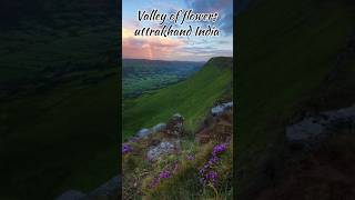 most beautiful places in India #beautiful #flowers #fairytaleworld #nature #travel #india #mountains