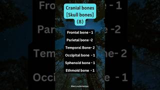 Cranial bones #ytshorts #shorts #shortsfeed #trending