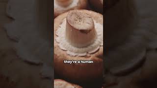 2024's Ultimate Guide to Healthy Food Trends