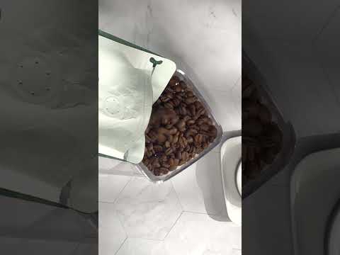 This Container Keeps Your Coffee Fresh! 🛑☕ | احفظ قهوتك طازجة مع حافظة ANKOMN #shorts