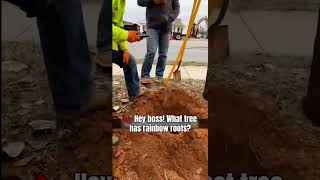 #CSLConstruction #WorkFail #ConstructionHumor #ElectricFail #ContractorLife #JobsiteChaos