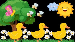 Ducks & Daisies Baby Sensory Video with High Contrast for relaxation and early learning