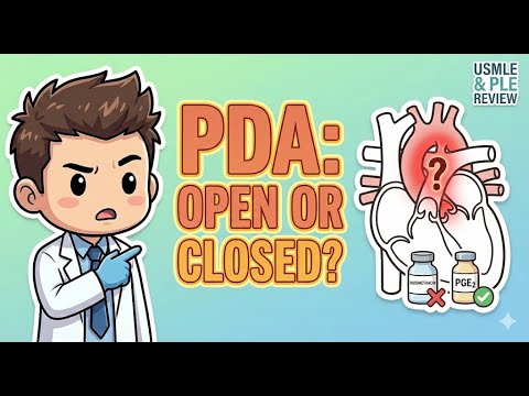 PLE ANAHISTO 2.6 Organ systems
