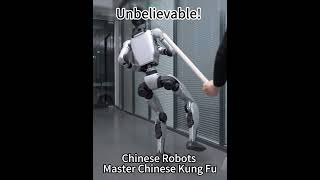 🔥Unbelievable! Chinese Robots Master Chinese KungFu#ChineseRobots #kungfu  #techwonders