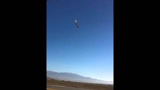 giant scale hover