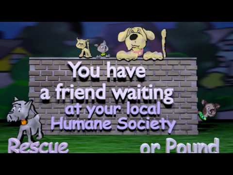 You have a friend waiting