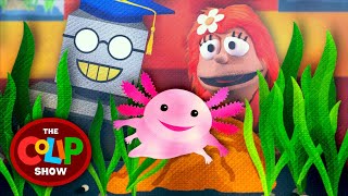 Axolotl Facts with LearnBot-9000 • The Colip Show | Educational Cartoon Puppet Stories for Kids