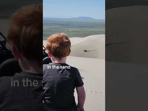 our little dune buddies #samco