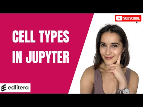 Code, Markdown, Raw NBConvert: How to Use Each Cell Type in Jupyter Notebook