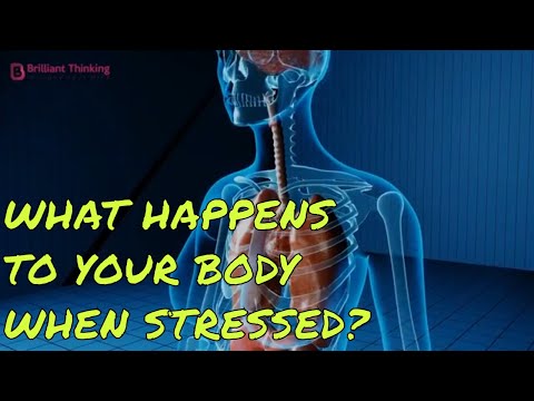 WHAT HAPPENS TO YOUR BODY WHEN STRESSED?