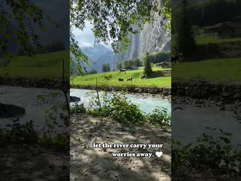 Enjoy Calming Nature Ambient Sounds 🌿 Let the River Carry Your Worries Away #shorts #ambience #relax