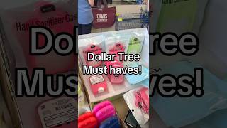 Dollar Tree Score! #dollartree #dollartreehaul #shopwithme