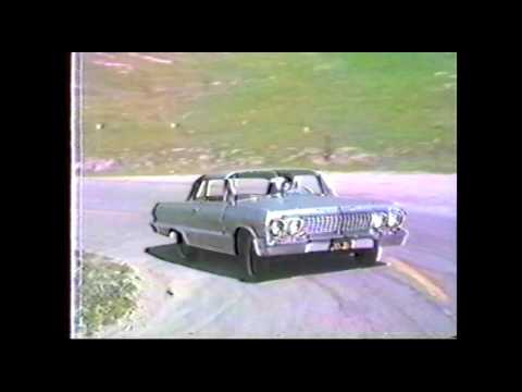 The Examples- Sorry No Pets Allowed
