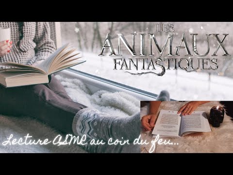 ASMR FR - Lecture chuchotée au coin du feu... Les animaux fantastiques vie et habitat  📖