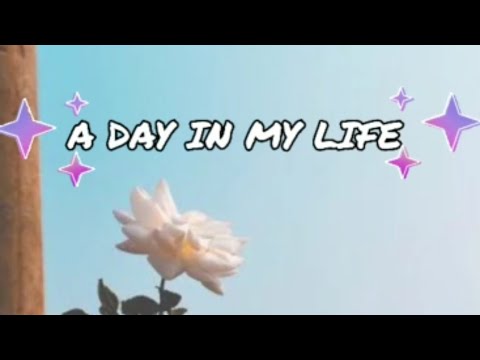 A day in my life.#shorts #organisedlife #motivation