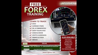 APICTS FOREX TRAINING FEB 6.0